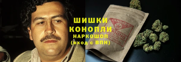 ПСИЛОЦИБИНОВЫЕ ГРИБЫ Бородино