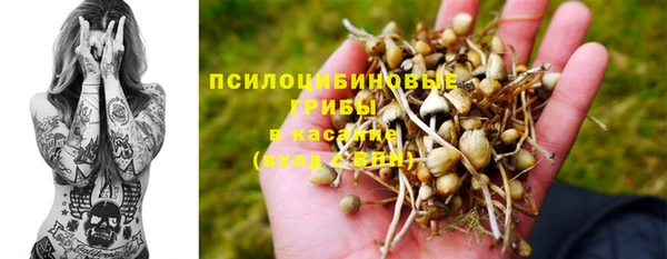 ПСИЛОЦИБИНОВЫЕ ГРИБЫ Бородино