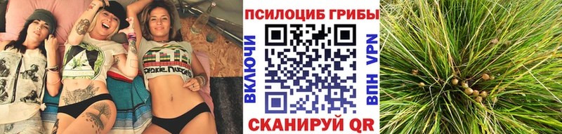 цены   Каневская  Псилоцибиновые грибы MAGIC MUSHROOMS 